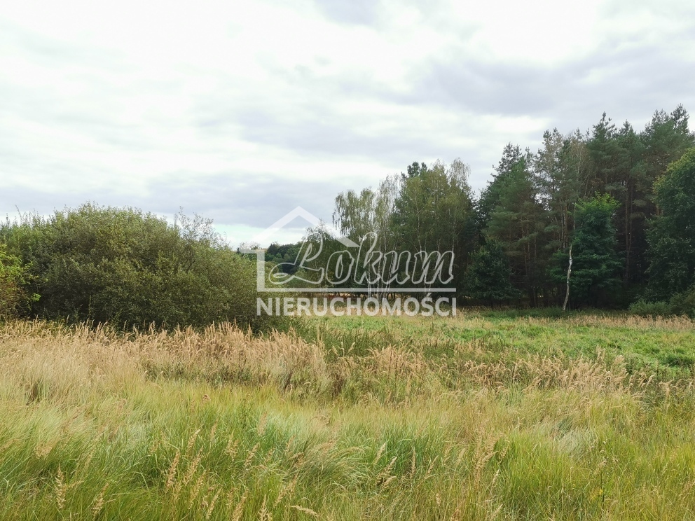 Działka budowlana 4258&nbsp;m², Szczecin - zdjęcie 5