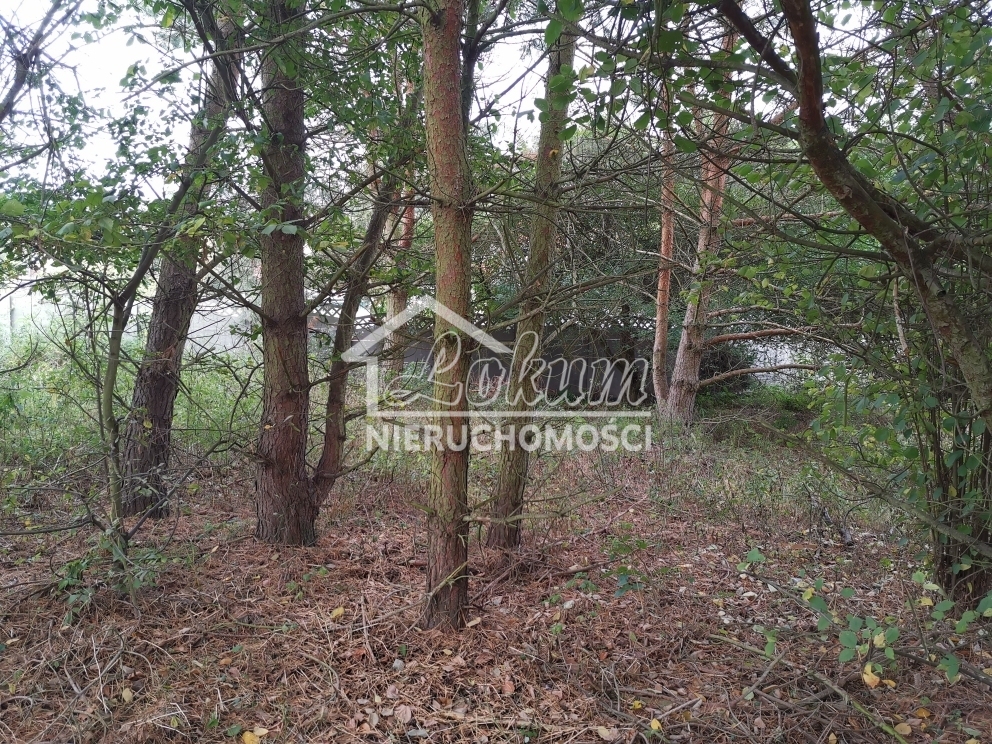 Działka budowlana 4258&nbsp;m², Szczecin - zdjęcie 3