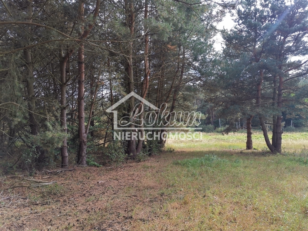 Działka budowlana 4258&nbsp;m², Szczecin - zdjęcie 8