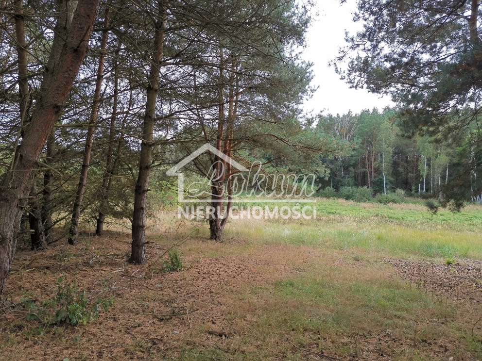Działka budowlana 4258&nbsp;m², Szczecin - zdjęcie 4