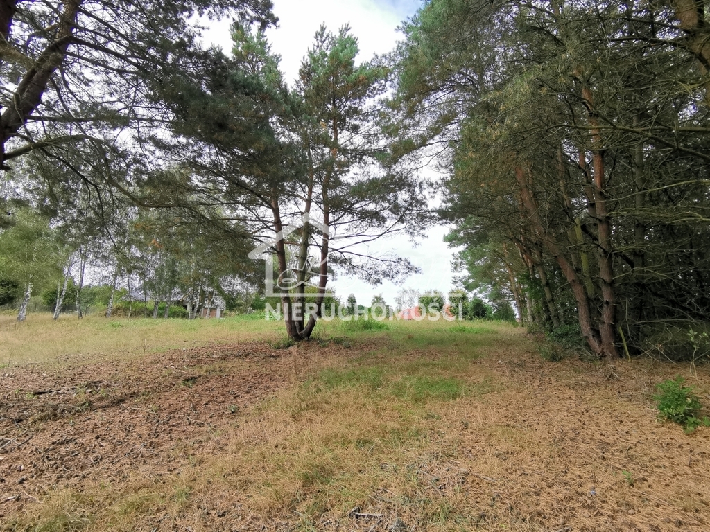 Działka budowlana 4258&nbsp;m², Szczecin - zdjęcie 6