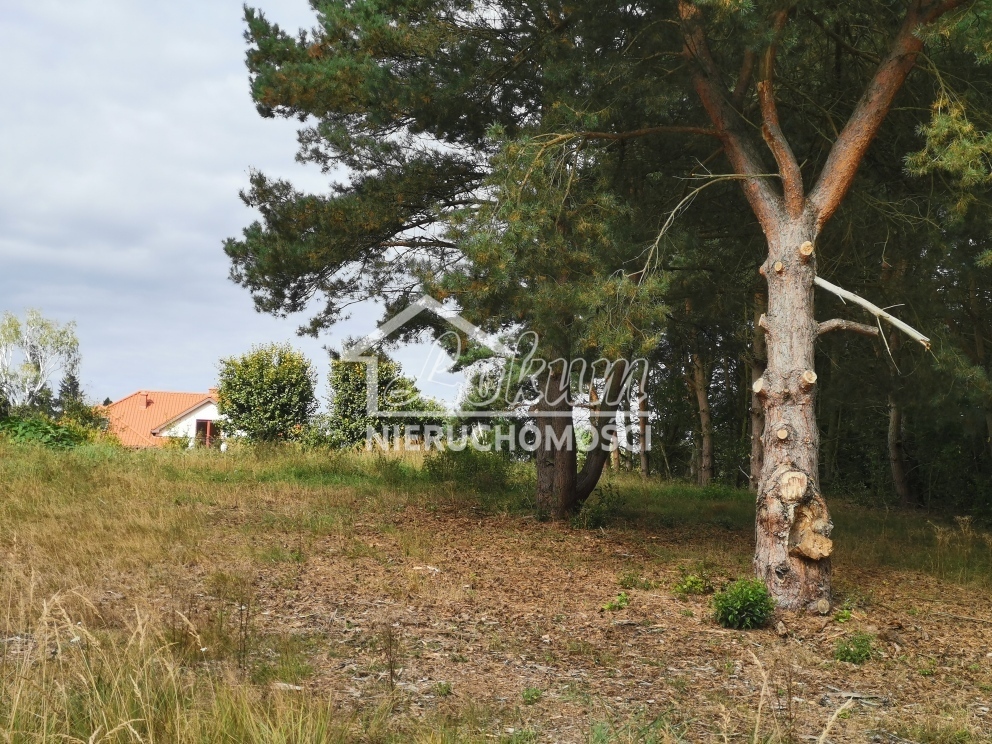 Działka budowlana 4258&nbsp;m², Szczecin - zdjęcie 7