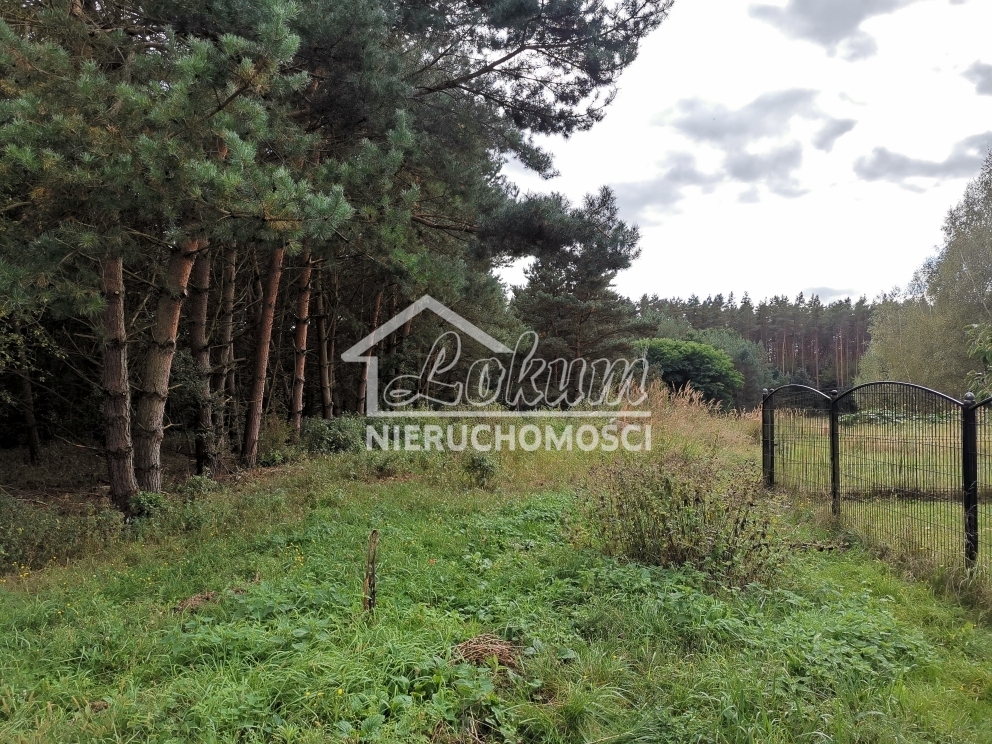 Działka budowlana 4258&nbsp;m², Szczecin - zdjęcie 1