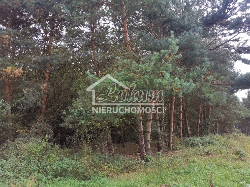 Działka budowlana 4258&nbsp;m², Szczecin - zdjęcie 2