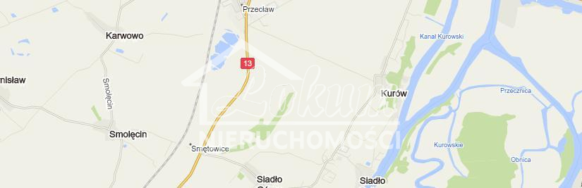 Działka budowlana 2,02&nbsp;ha, Kurów - zdjęcie 3