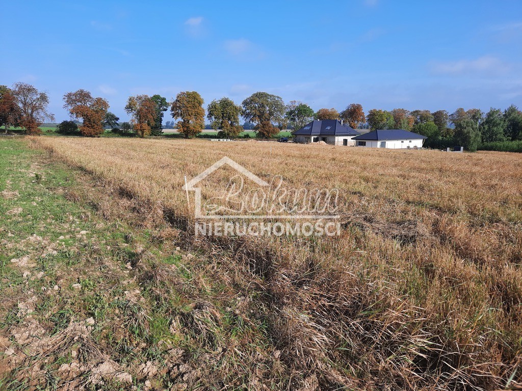 Działka budowlana 2,02&nbsp;ha, Kurów - zdjęcie 6