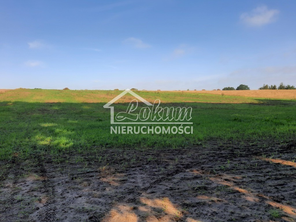 Działka budowlana 2,02&nbsp;ha, Kurów - zdjęcie 1