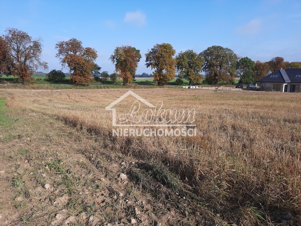 Działka budowlana 2,02&nbsp;ha, Kurów - zdjęcie 9