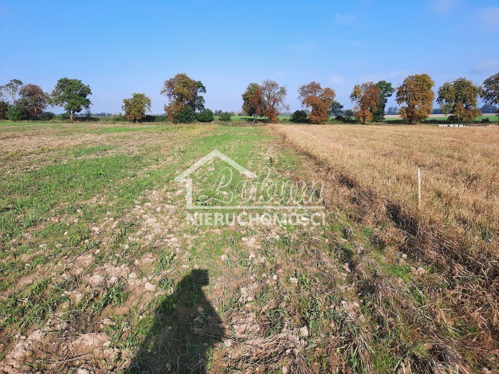 Działka budowlana 2,02&nbsp;ha, Kurów - zdjęcie 7