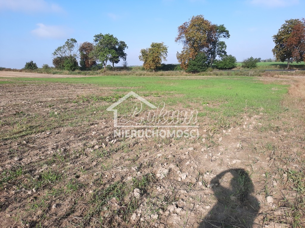 Działka budowlana 2,02&nbsp;ha, Kurów - zdjęcie 10