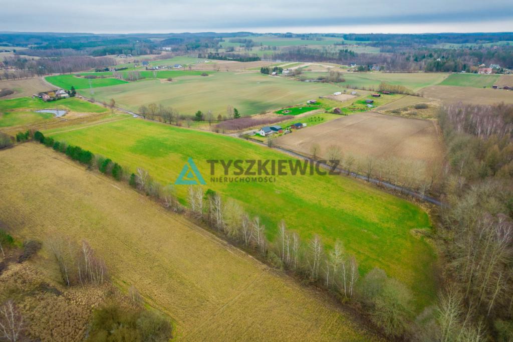 Duża działka rolna w Głodowie! - zdjęcie 6