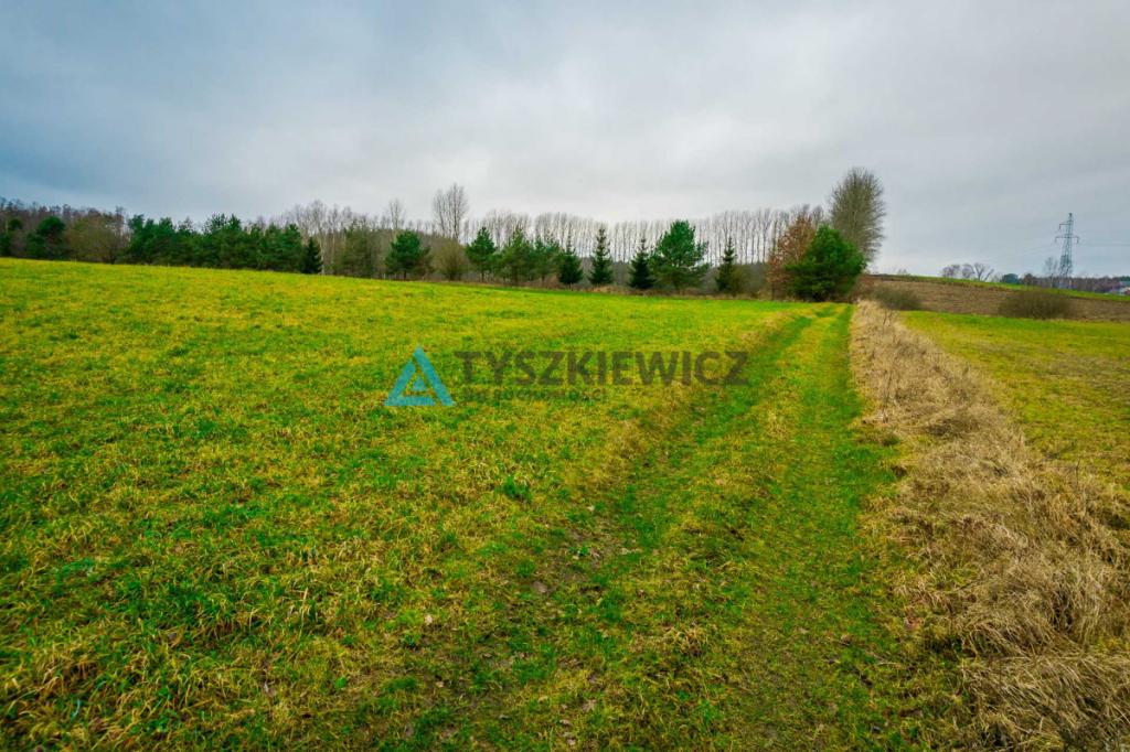 Duża działka rolna w Głodowie! - zdjęcie 12