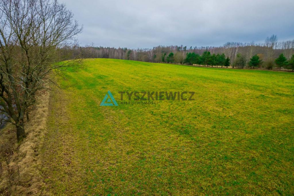 Duża działka rolna w Głodowie! - zdjęcie 4