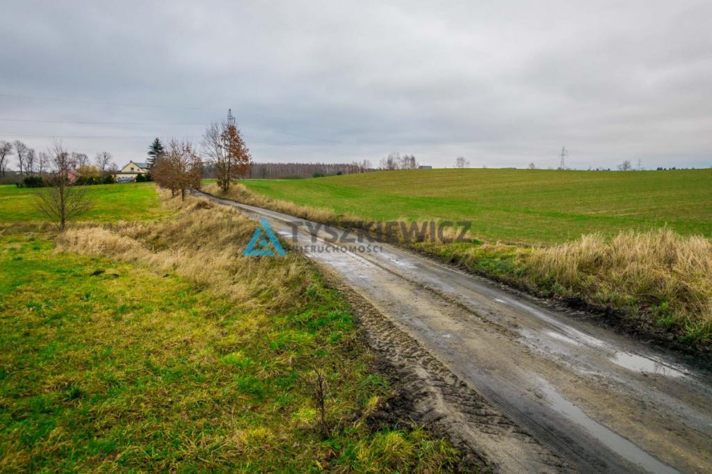 Duża działka rolna w Głodowie! - zdjęcie 14