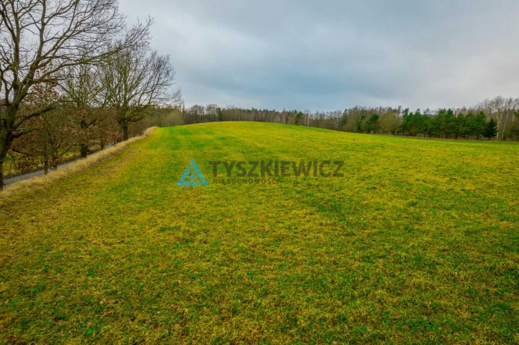 Duża działka rolna w Głodowie! - zdjęcie 13