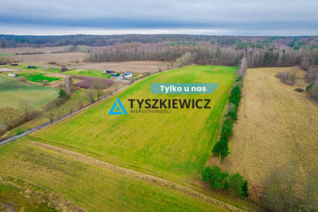 Duża działka rolna w Głodowie! - zdjęcie 1