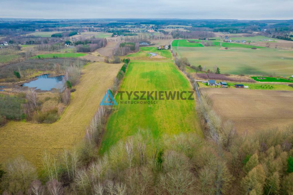 Duża działka rolna w Głodowie! - zdjęcie 5