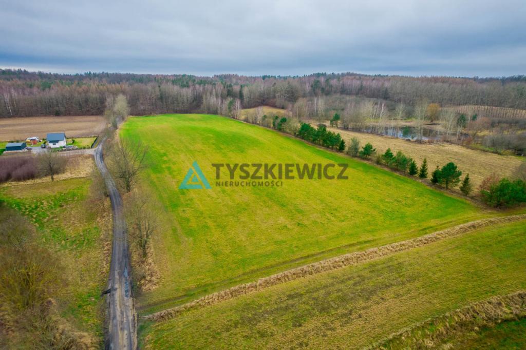 Duża działka rolna w Głodowie! - zdjęcie 2