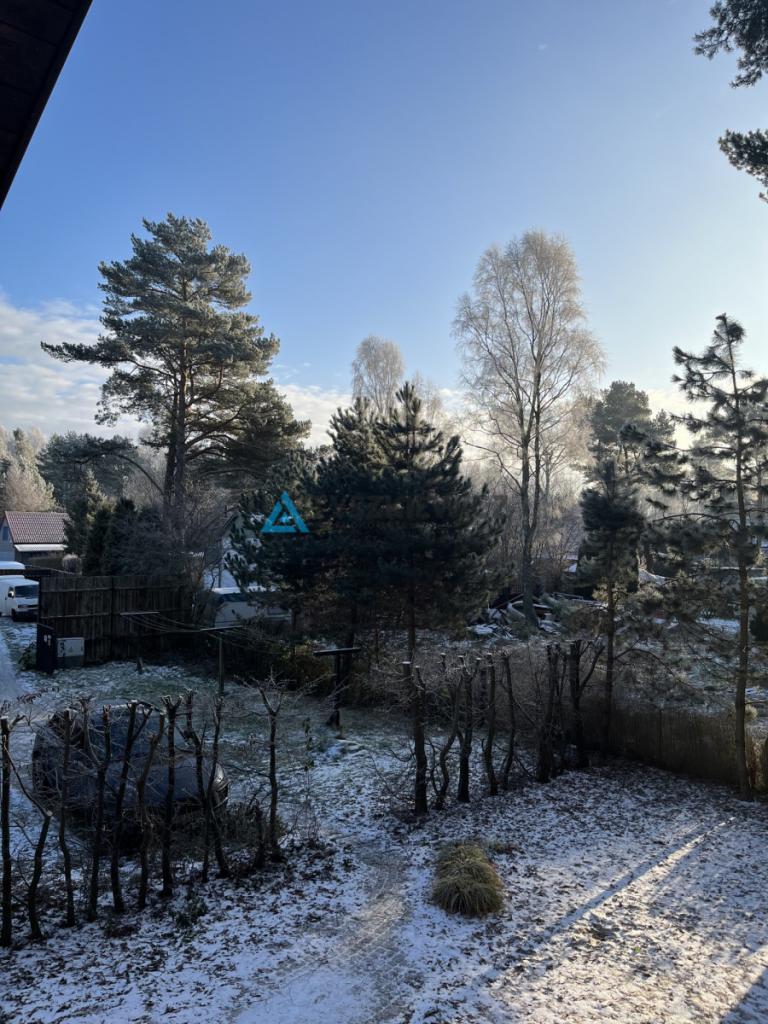 Dębki piękna działka z zabudową 1760 m2 - zdjęcie 6
