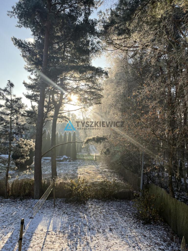 Dębki piękna działka z zabudową 1760 m2 - zdjęcie 20