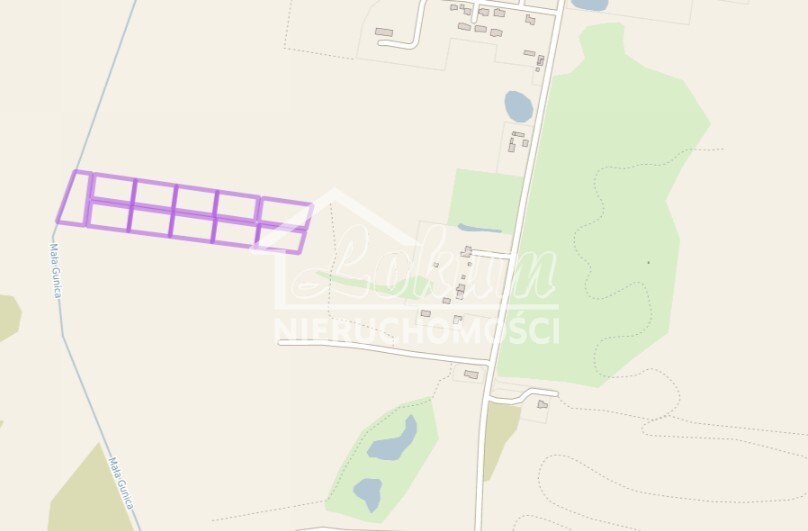 Działka rolna 3000&nbsp;m², Dobra - zdjęcie 4