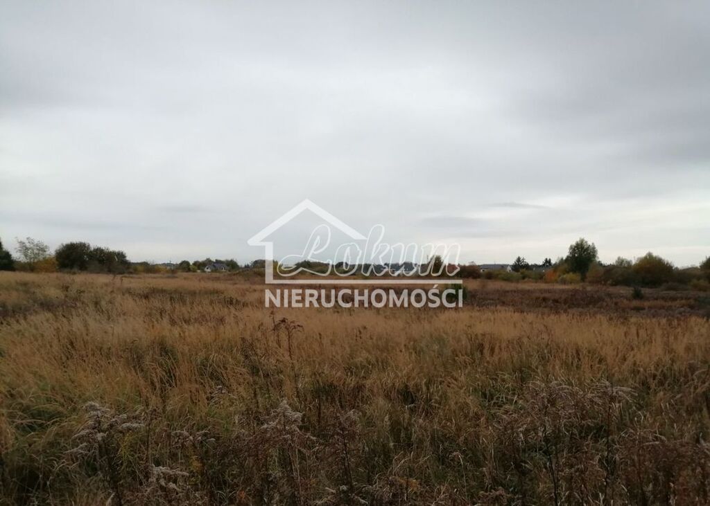 Działka inwestycyjna 1,55 ha, Szczecin - zdjęcie 5