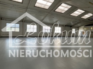 Magazyn do wynajęcia, 1217,73&nbsp;m², Szczecin - zdjęcie 1