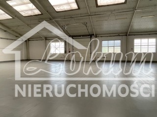 Magazyn do wynajęcia, 1217,73&nbsp;m², Szczecin - zdjęcie 4