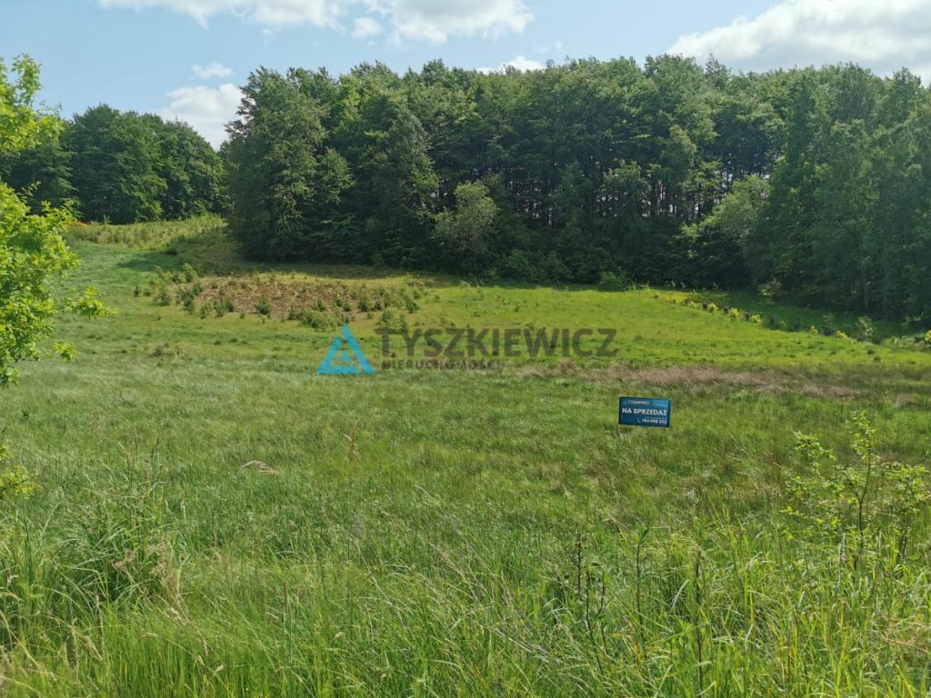 Działka budowlana z pozwoleniem na budowę! - zdjęcie 3
