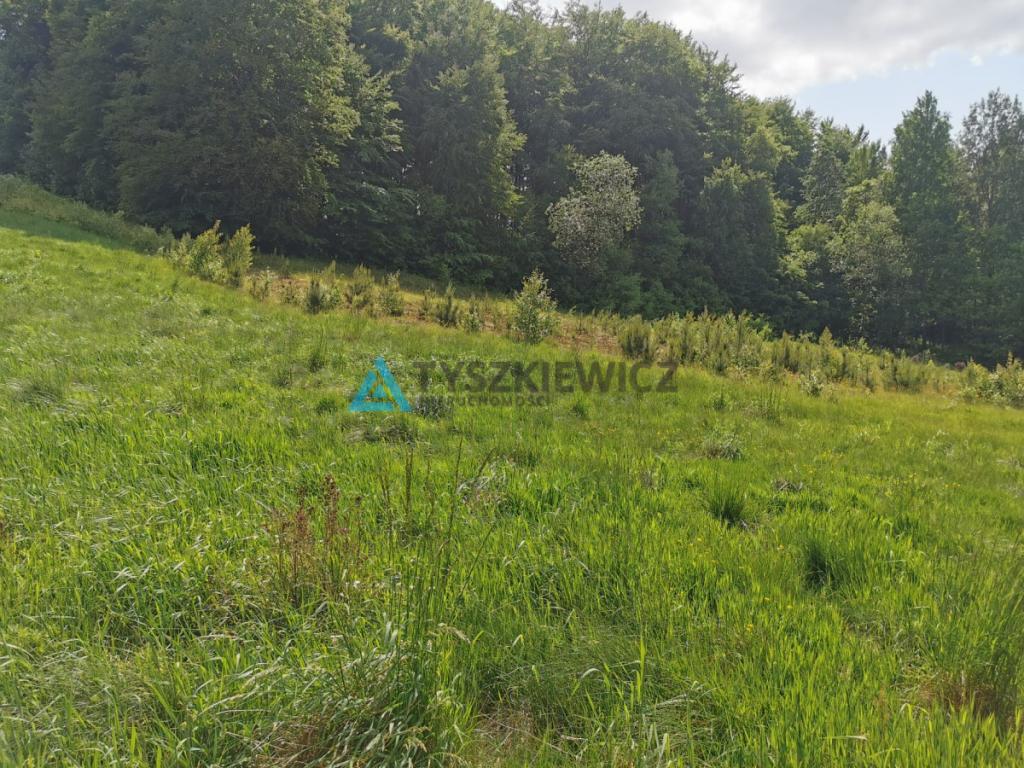 Urokliwa działka budowlana w sąsiedztwie rzeki! - zdjęcie 3