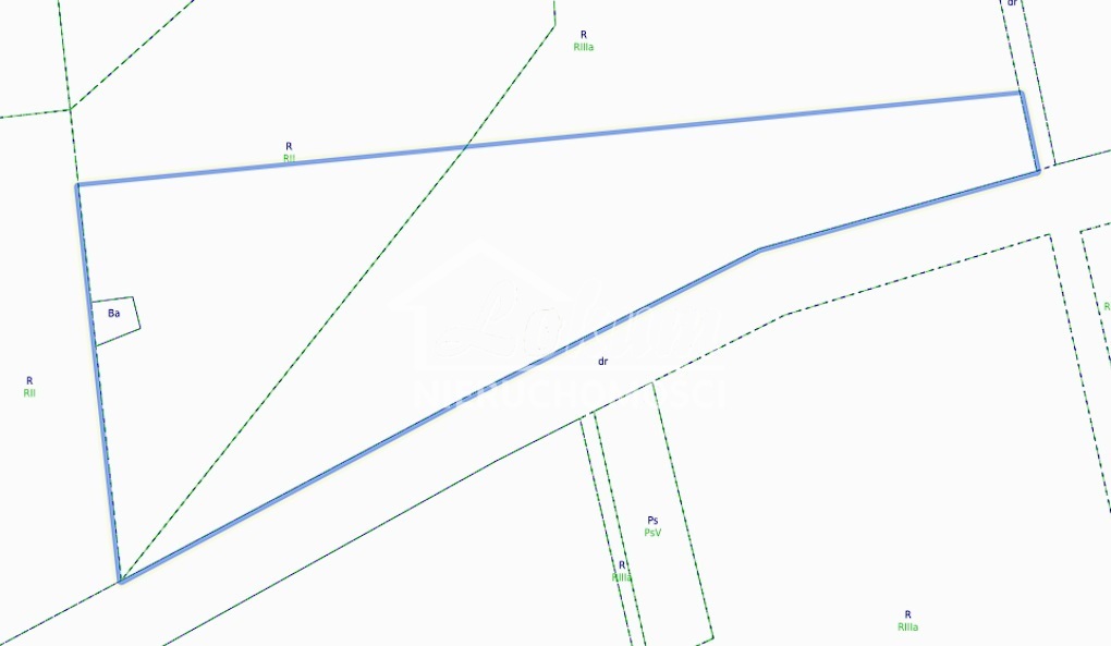 Działka rolna 1,94&nbsp;ha, Banie - zdjęcie 1