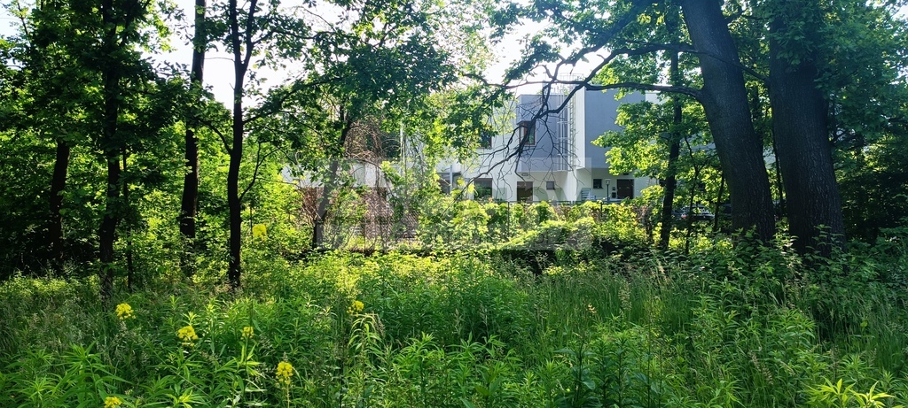 Działka budowlana 2065 m², Grodzisk Mazowiecki - zdjęcie 3