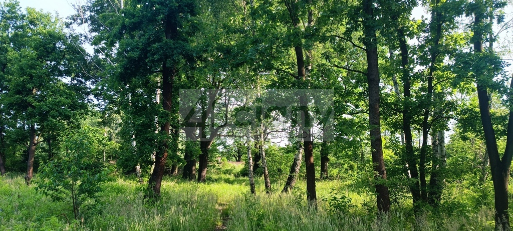 Działka budowlana 2065 m², Grodzisk Mazowiecki - zdjęcie 2