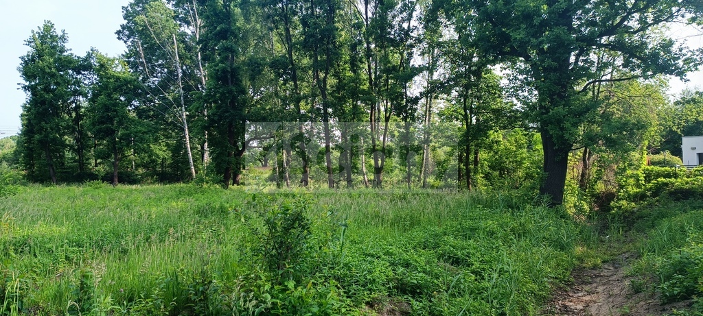 Działka budowlana 2065 m², Grodzisk Mazowiecki - zdjęcie 1