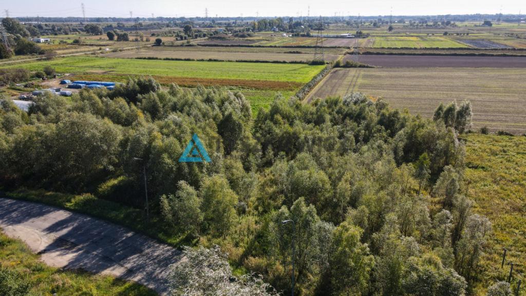 Działka 3001 m blisko centrum Gdańska - zdjęcie 7