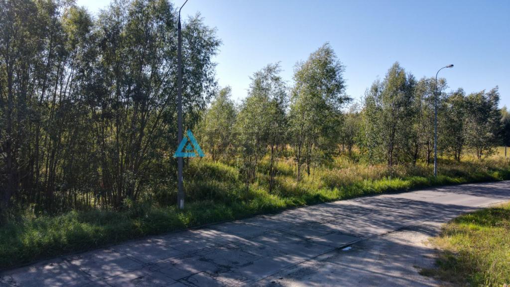Działka 3001 m blisko centrum Gdańska - zdjęcie 4
