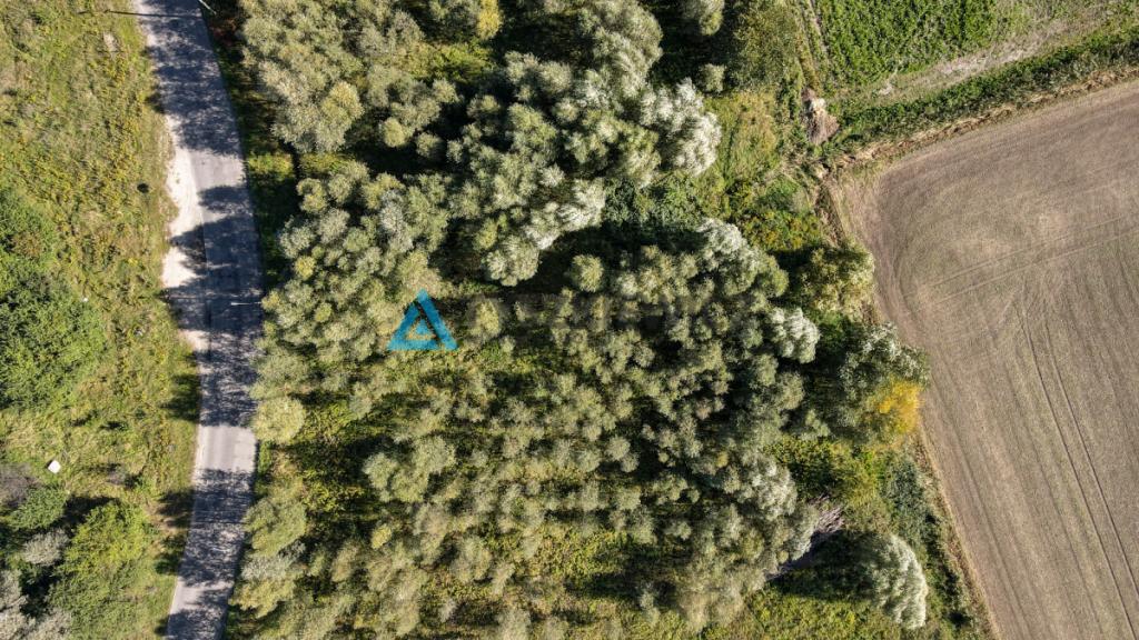 Działka 3001 m blisko centrum Gdańska - zdjęcie 25