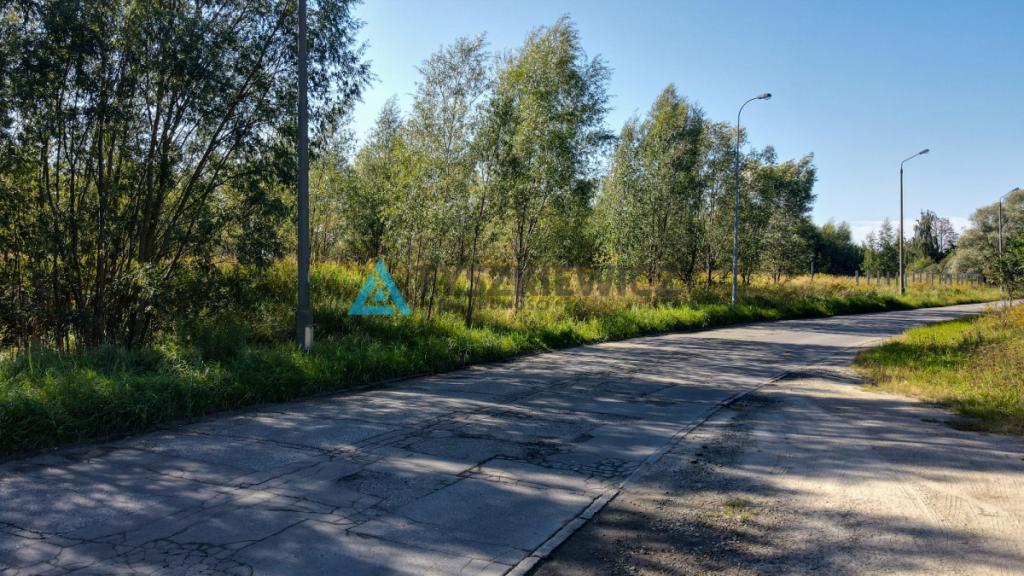 Działka 3001 m blisko centrum Gdańska - zdjęcie 29
