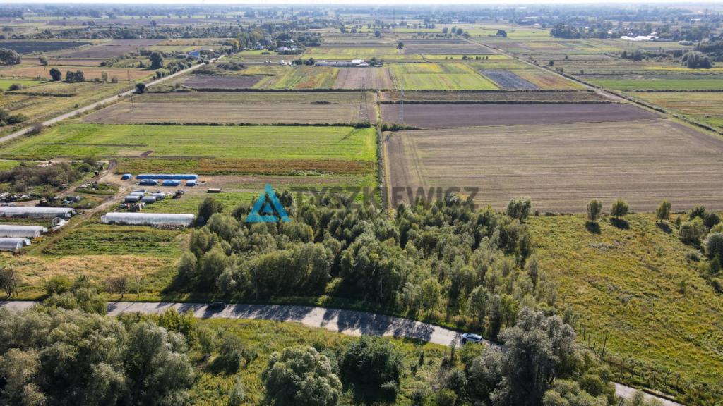 Działka 3001 m blisko centrum Gdańska - zdjęcie 19