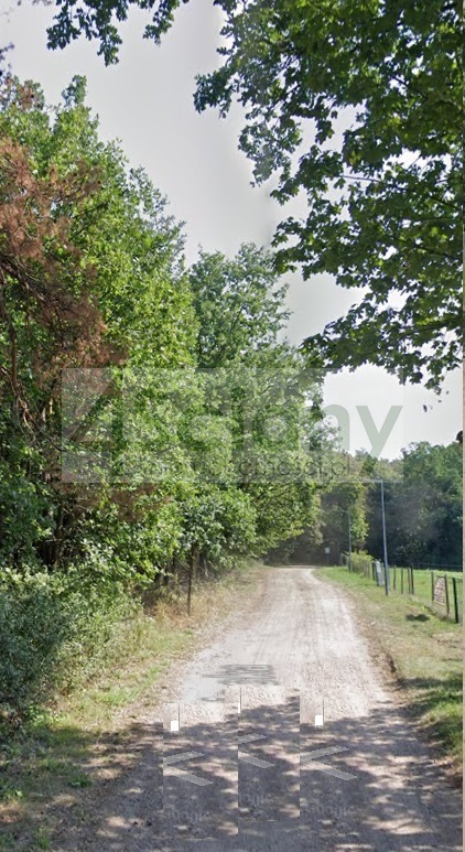 Działka budowlana 1002&nbsp;m², Rajszew - zdjęcie 5