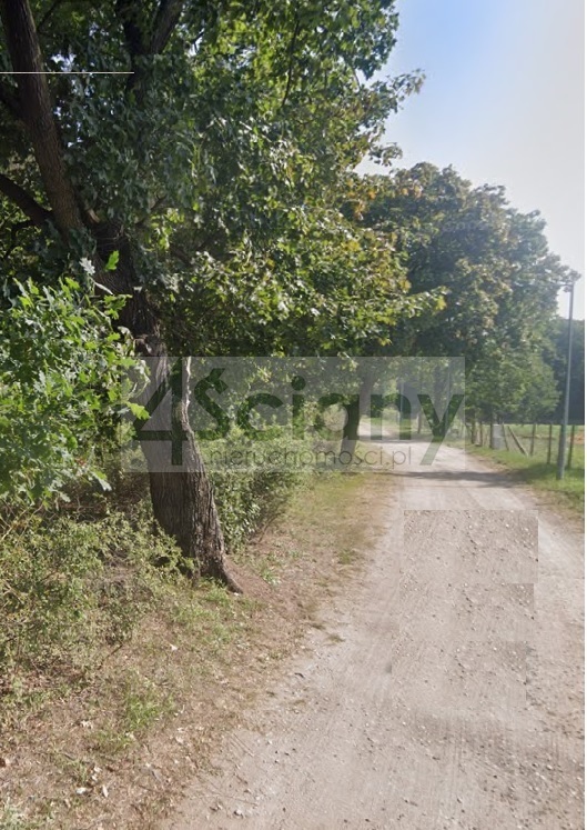 Działka budowlana 1002&nbsp;m², Rajszew - zdjęcie 2