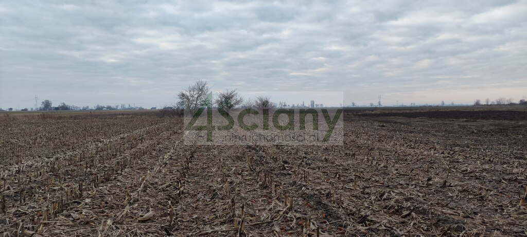 Działka budowlana 1132&nbsp;m², Zaborówek - zdjęcie 1