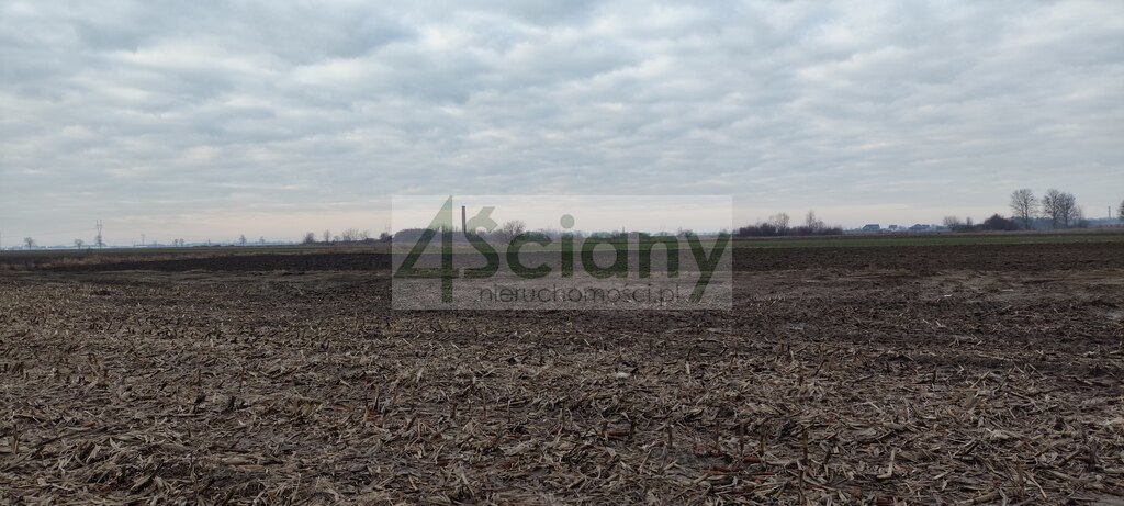 Działka budowlana 1132&nbsp;m², Zaborówek - zdjęcie 3