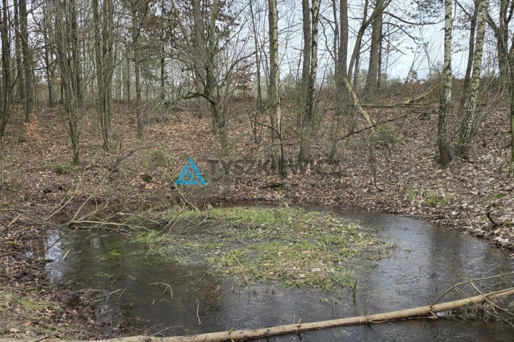 Działka budowlana Szymbark - zdjęcie 12