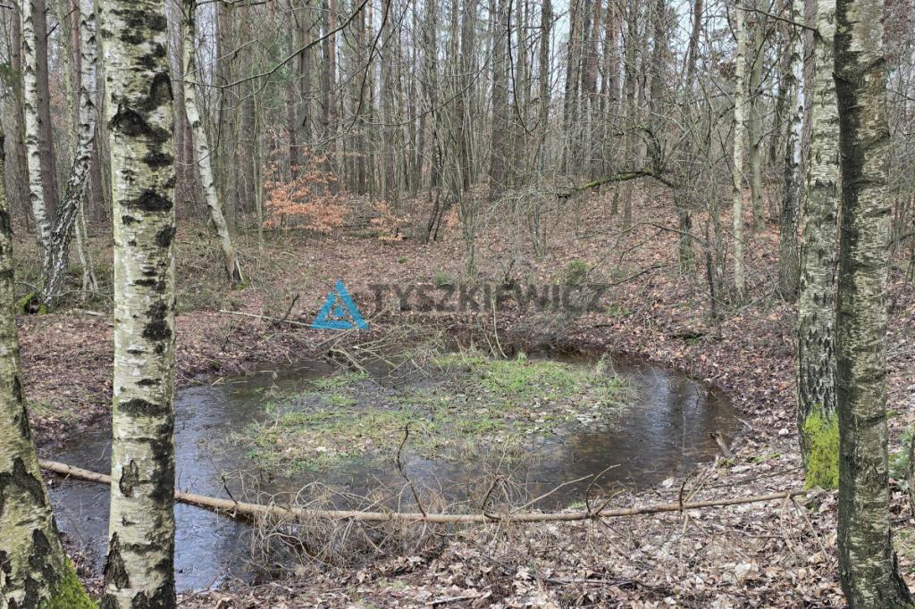 Działka budowlana Szymbark - zdjęcie 13