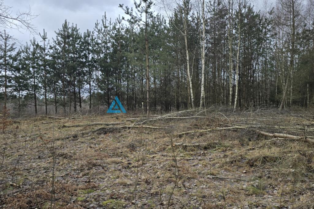 Działka budowlana Szymbark - zdjęcie 14