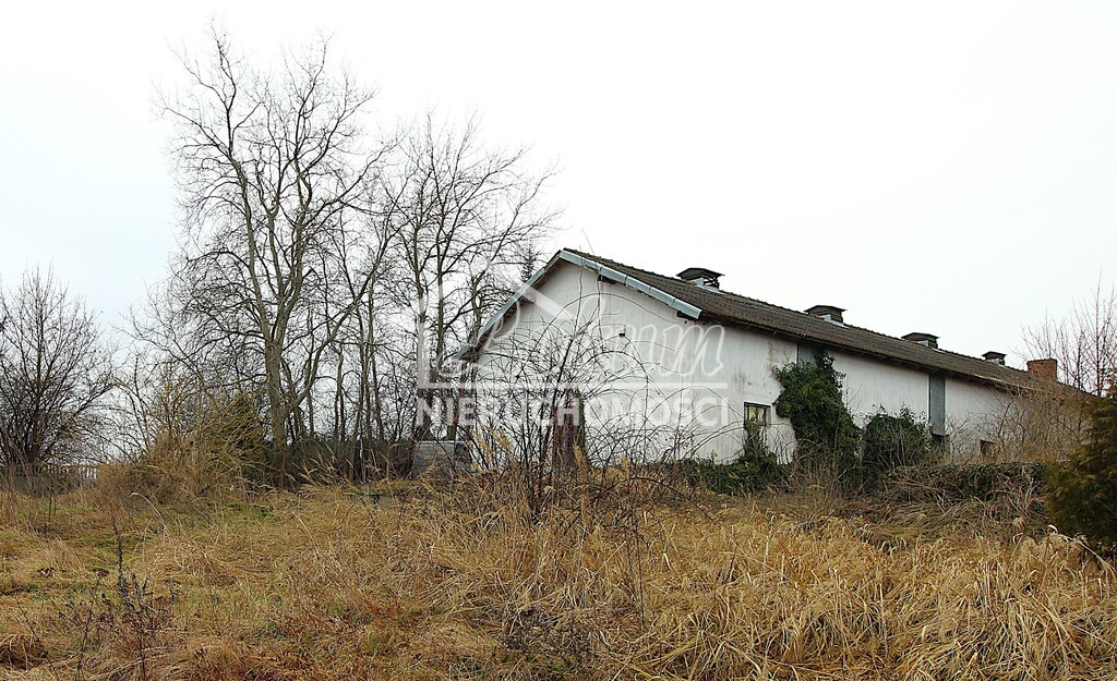 Działka budowlana 3100&nbsp;m², Żarowo - zdjęcie 1