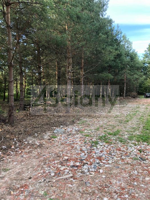 Działka budowlana 3400&nbsp;m², Mieszkowo - zdjęcie 1