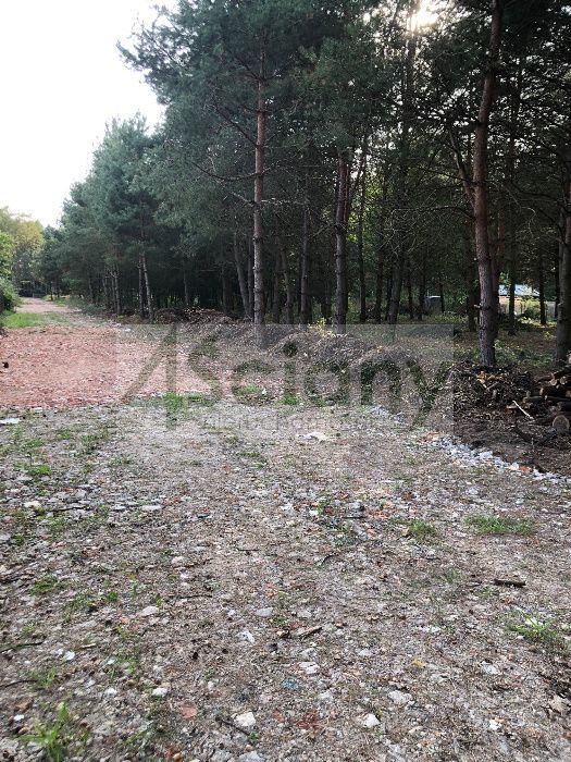 Działka budowlana 3400&nbsp;m², Mieszkowo - zdjęcie 2