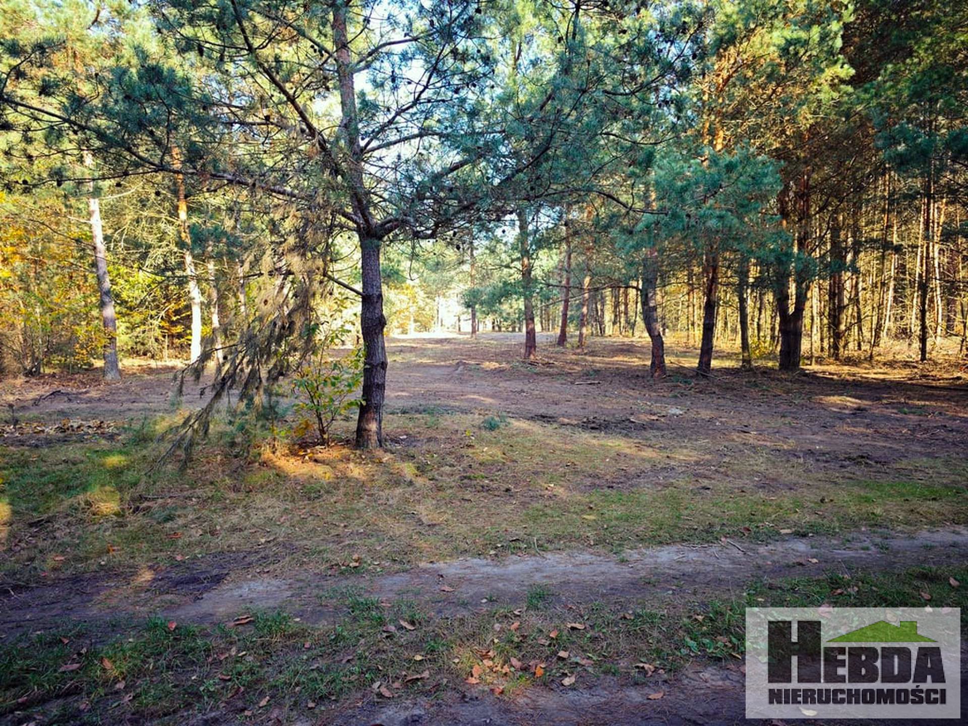 Wierzchosławice!!! Działki budowlane w otoczeniu lasów !!! - zdjęcie 3